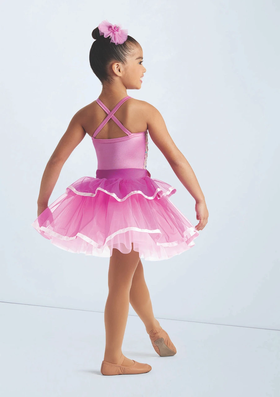 Weissman Crocodile Rock 3 Weissman Crocodile Rock - Image 3